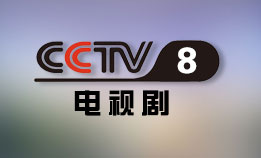 CCTV8 电视剧